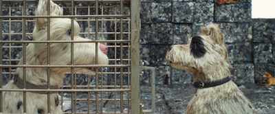 That's Butterscotch, - Isle of Dogs