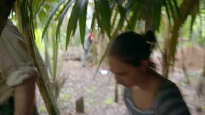 That's cool, let's
go take a look over there, - Lost Treasures of the Maya