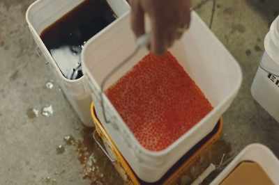 That's effectively artificial
spawning at a hatchery. - Artifishal
