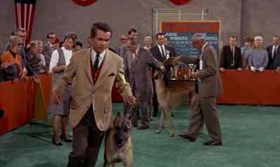 THAT'S ENOUGH. - The Ugly Dachshund