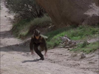 Ugh! - MacGyver