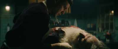 That's from a knife, surely. - The Offering