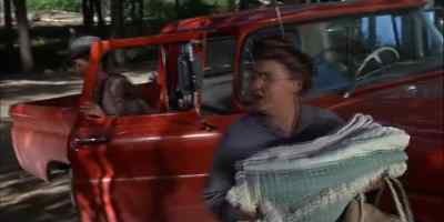 THAT'S FUNNY.
I DON'T SEE THE ANIMALS. - The Incredible Journey