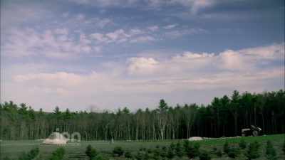 That's gonna be there
till the next Ice Age. - The Spruces and the Pines