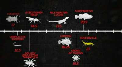 That's higher
than the harvester ants, - Kings of Pain