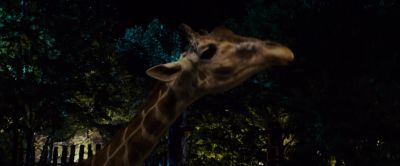 That's how you gonna get your girl - Zookeeper