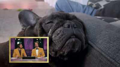 That's how I host, Joe. I have learned - 2022 American Rescue Dog Show