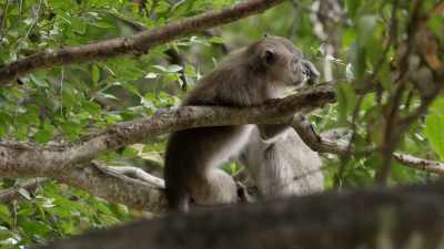 That's how you rest, with
everything...hyper‐extended? - When Nature Calls with Helen Mirren