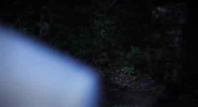 That's impossible. There hasn't been
a bear, a wild bear in this region for... - Wer