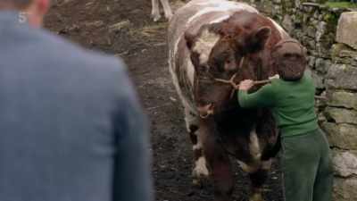 That's it. - All Creatures Great & Small