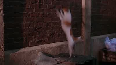 That's it! - The Mask