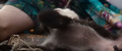 That's it! - Ace Ventura: When Nature Calls