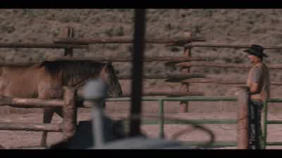 That's it. - Yellowstone