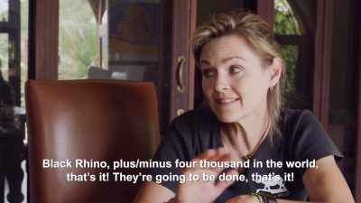 That's it? There's
only four-thousand black rhinos? - Why on Earth