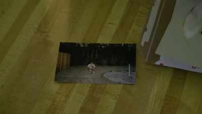 That's Jojo. That's my first cat.
Had her for 11 and a half years. - Rocketman
