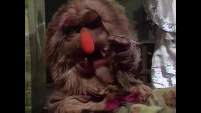 That's my kind of woman. - The Muppet Show