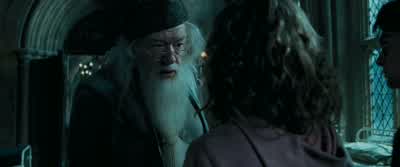 That's ling you see there-- Ah, Hagrid. - Harry Potter and the Prisoner of Azkaban
