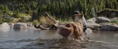 That's more like it, Buck. - The Call of the Wild