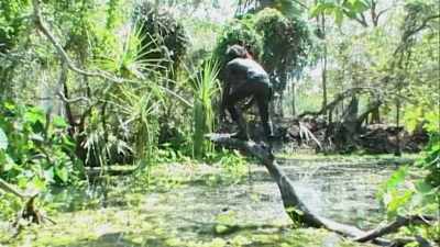 That's my name, that's my totem, - My Name Is Gulpilil