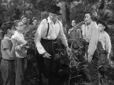 That's no lean-to. - A Kiss in the Dark