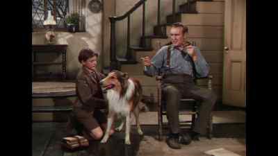 That's no way to do it, lad. - Lassie Come Home