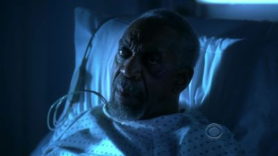 That's not Harry. - CSI: Crime Scene Investigation