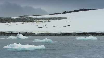 That's not just a
problem for them... - Frozen Planet II