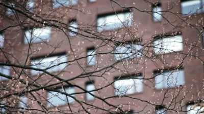 That's not making sense to me. - The Disappearance of Maura Murray