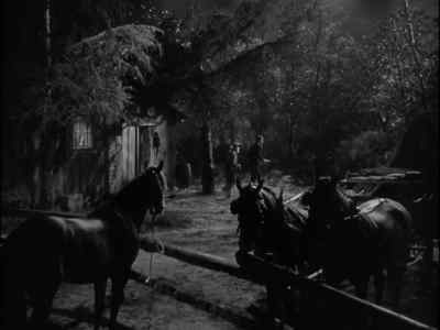 That's not your team. Come on. - Tall in the Saddle