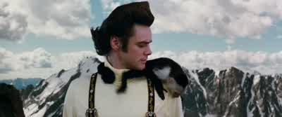 That's okay, Spike. - Ace Ventura: When Nature Calls