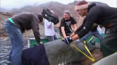 That's one thing
that's, like, so killer, - I Am Paul Walker