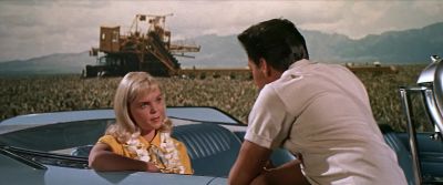That's pretty rude Are you always so bored or is it me - Blue Hawaii