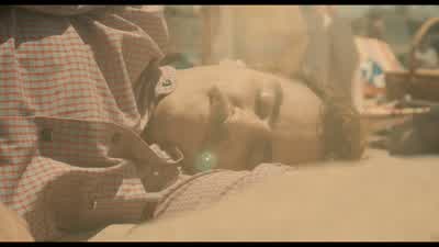 That's pretty. - Her