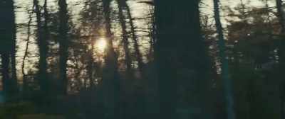That's really somethin'. - Stronger