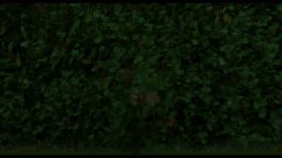 That's right, don't push, plenty for everybody. - Over the Hedge