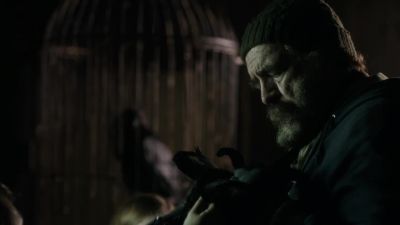 That's right.
It's feathers. - Shetland