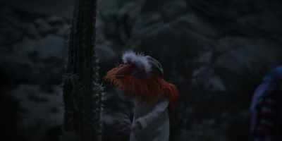 That's right, man. Meet my friend Davis. - The Muppets Mayhem