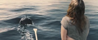 That's right mother fucker - The Requin
