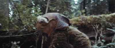 That's right. - Star Wars: Episode VI   Return of the Jedi