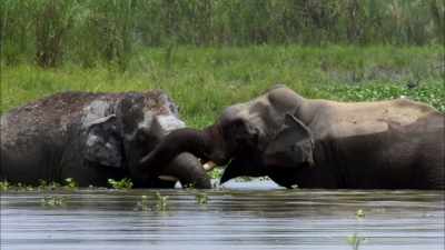 That's right ‐‐
simple game, - When Nature Calls with Helen Mirren