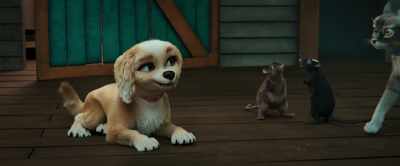 - That's right!
- We know how to, yeah. - Gracie & Pedro: Pets to the Rescue