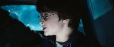 That's settled. - Harry Potter and the Chamber of Secrets
