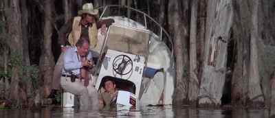 That's some Gator! - Gator