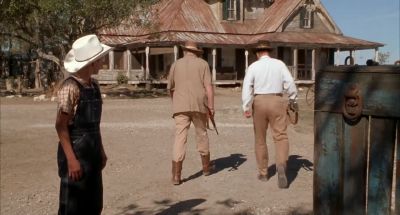 That's some lion you bought - Secondhand Lions