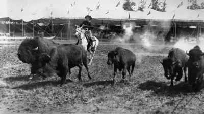 That's still true.
But most Americans - The American Buffalo