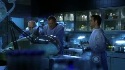 That's... that's better. - CSI: Crime Scene Investigation