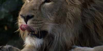 That's the animal spirits
that are out there - Hot Money