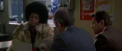 That's the cat at the airport - Cleopatra Jones