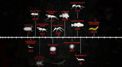 - That's the highest by far. - Kings of Pain