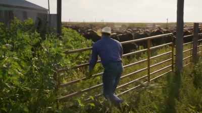 THAT'S THE INCOME
THAT SUSTAINS THE RANCH. - Dino Hunters